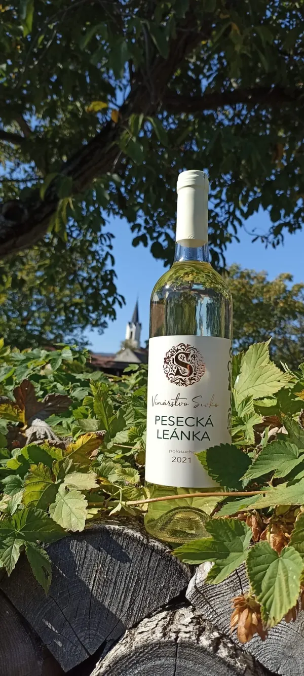 Fľaša Peseckej Leánky vo vinici